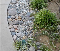 Water Wise Lanscaping