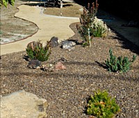 Water Wise Lanscaping