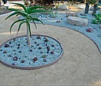 Water Wise Lanscaping