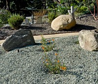 Water Wise Lanscaping