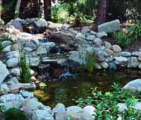 Waterfalls & Ponds