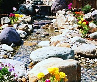 Waterfalls & Ponds